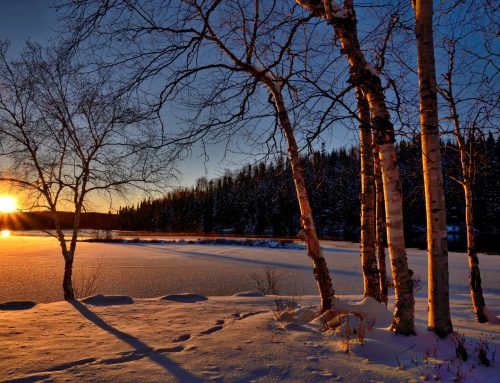 Shop Local Campaign Seeks to Market the East Range