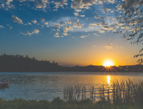 Meet Our Board Members and Administrators