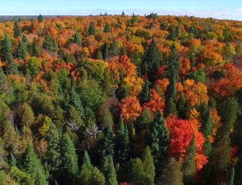 Marketing the East Range: New Updates for Two Websites
